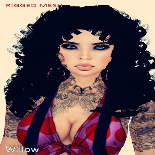 [ iren ] Willow_DEMO[BOX]