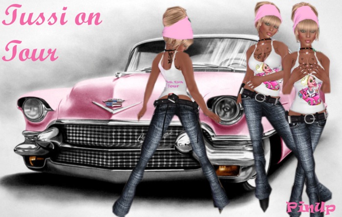PinUp Tussi on tour