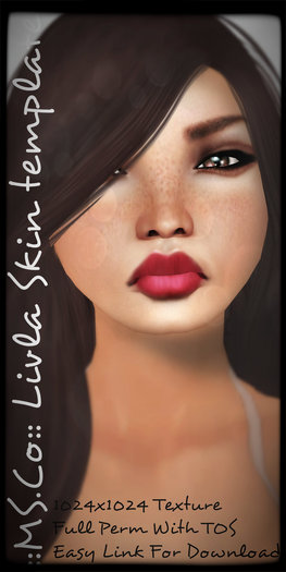 ::MS::Co::Livla Builder Kit Template 80 % OFF