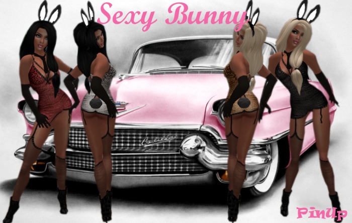 PinUp SEXY BUNNY