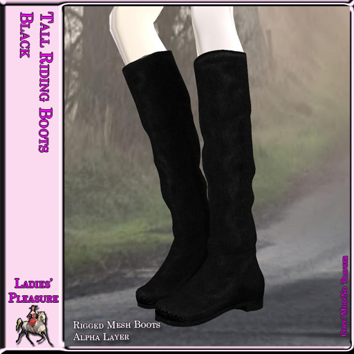 ~LP~ Tall Riding Boots Boxed 