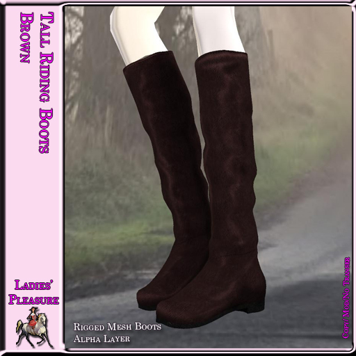 ~LP~ Tall Riding Boots Boxed 