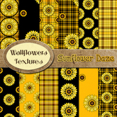 *Wallflowers* Sunflower Daze