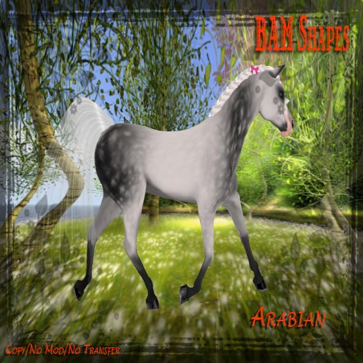 *BAM* Arabian W.H