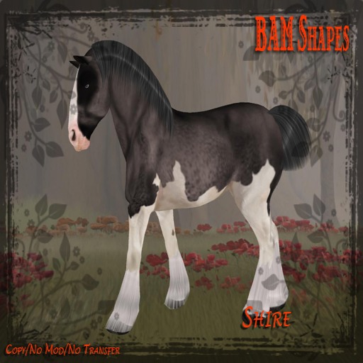 *BAM* Shire WH.Draft