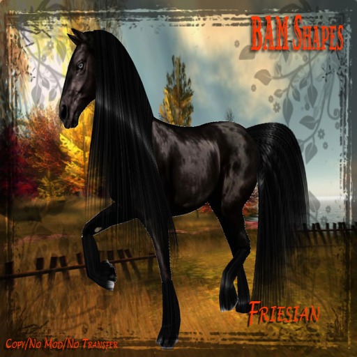 *BAM* friesian W.H shape