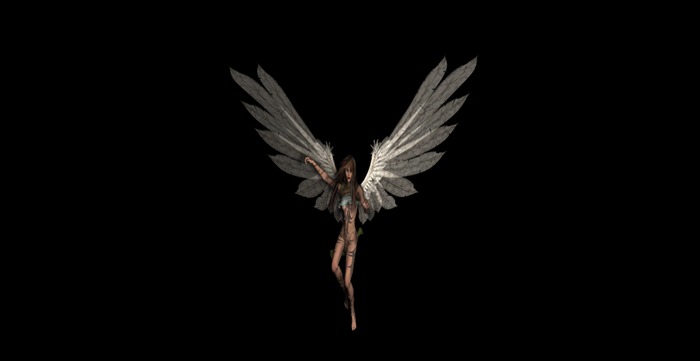 Angel 3 full perms texture