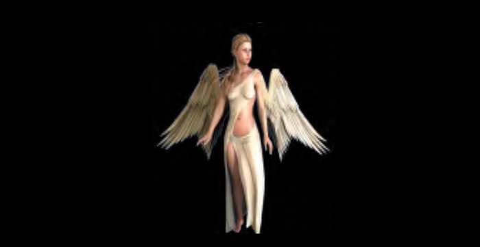 Angel 4 full perms texture