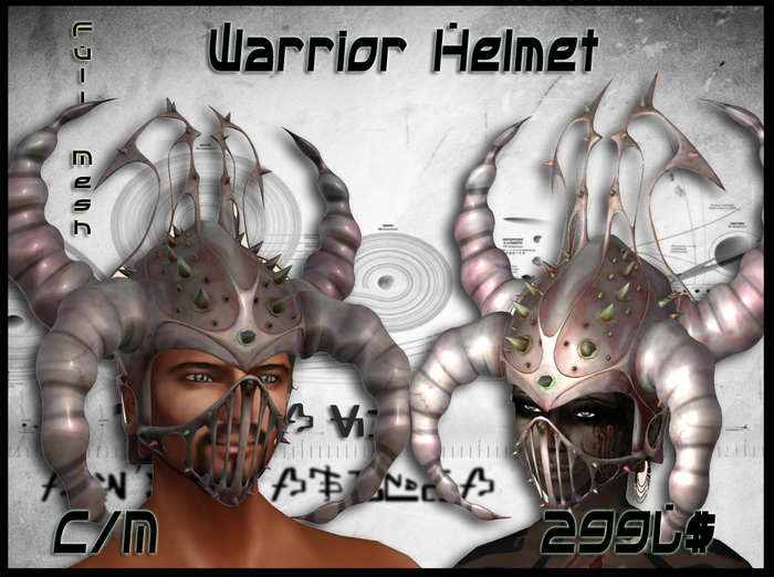 Warrior Helmet