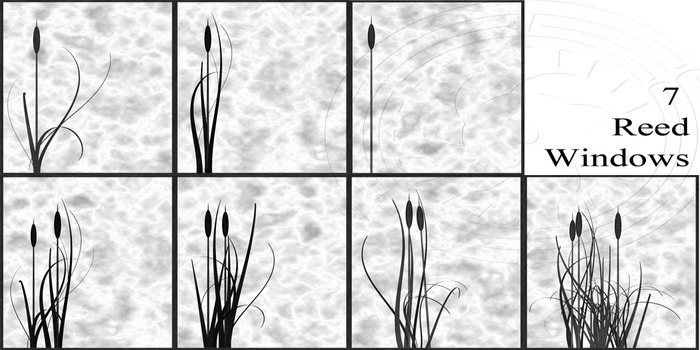 Reed Windows