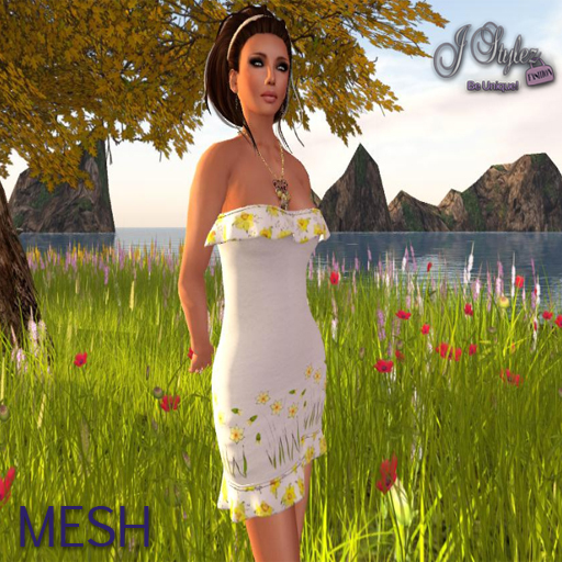 ::J:: StyleZ:: Niamh Spring MESH Dress