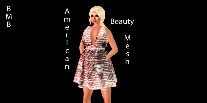 BMB 4th of July MEsh Maternity dress Pregnancy