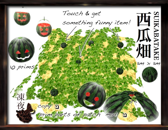 FN*Watermelon patch
