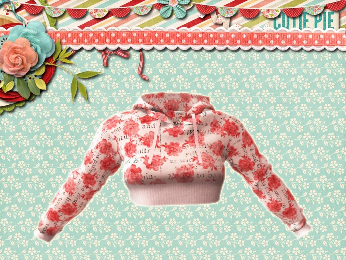 ★★100% Mesh Best Selling!!!★★Cropped Hoodie aq4