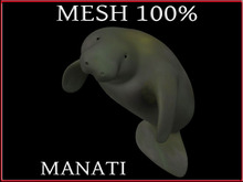 T-3D Creation [Cherry Frame / For Wall] MESH - Full Perm
