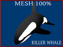 T-3D Creation [Cherry Frame / For Wall] MESH - Full Perm
