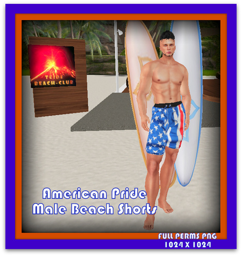 AMERICAN PRIDE MALE SHORTS