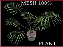 T-3D Creations [ PLANT No.2 ] MESH - Full Perm -