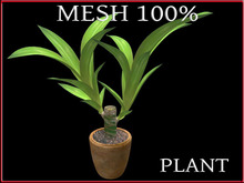 T-3D Creation [ PLANT No.3 ] MESH - Full Perm