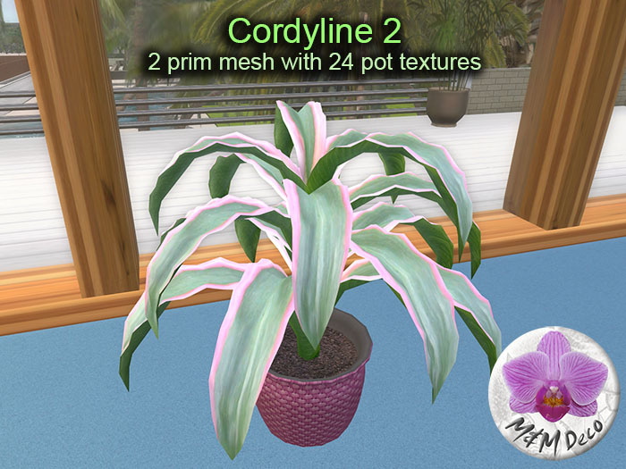 Mesh Plant Cordyline 2