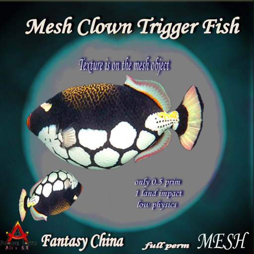 Mesh Clown Trigger Fish 