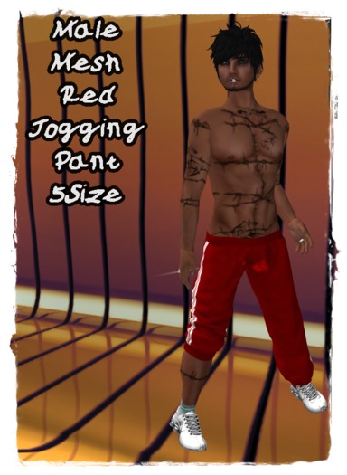Mesh Joggingpants Male Red