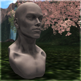 Marble Male Bust