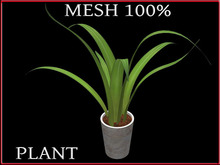 T-3D Creation [ PLANT No.4 ] MESH - Full Perm