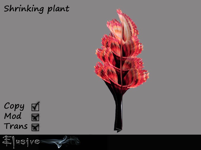 Shrinkable Plant