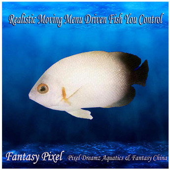 Second Life Marketplace - Realistic Moving Menu Driven Fish YOU CONTROL ...