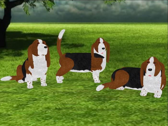 Basset Hound Scripted and Animated Dog