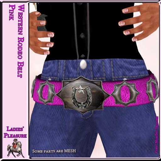 ~LP~ Western Rodeo Belt (BOXED) Pink