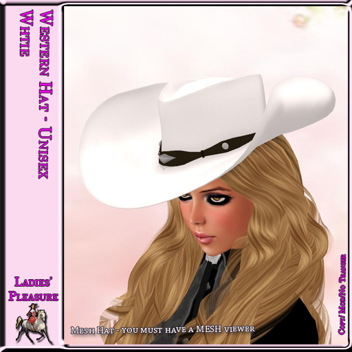 ~LP~Western Hat (BOXED) White