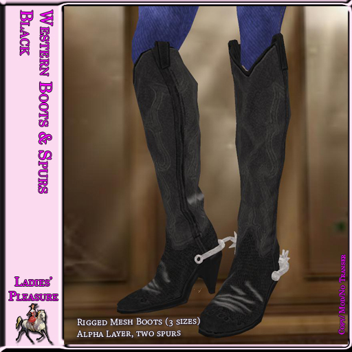 ~LP~Western Boots & Spurs (Boxed) Black