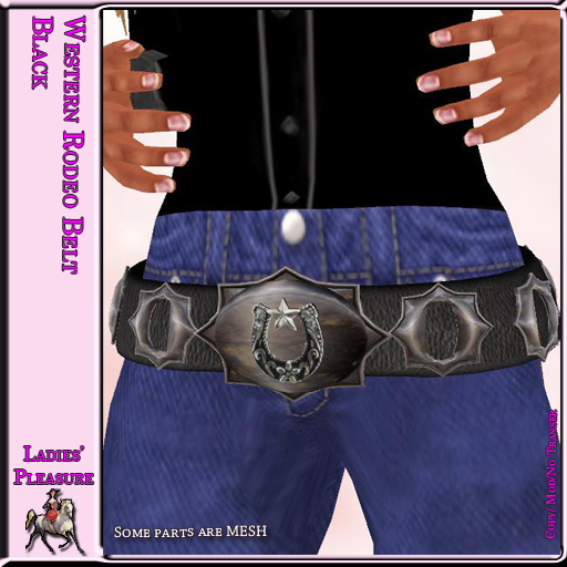 ~LP~ Western Rodeo Belt (BOXED) 
