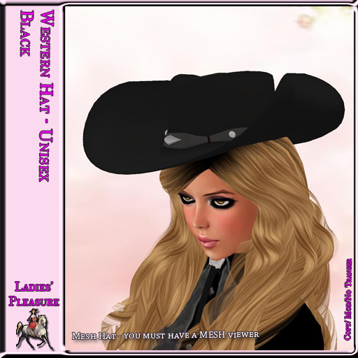 ~LP~Western Hat (BOXED) 