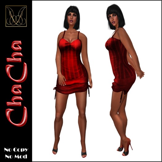 JCD ChaCha Red Mesh Dress bagged