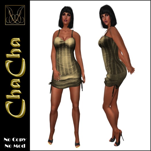 JCD ChaCha Gold Mesh Dress