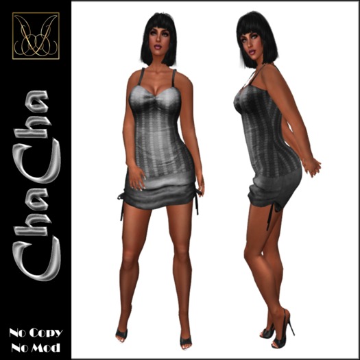 JCD ChaCha Red Mesh Dress bagged