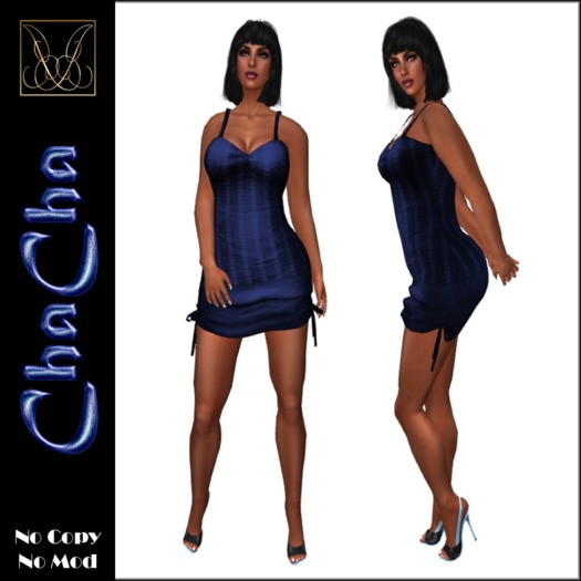 JCD ChaCha Red Mesh Dress bagged