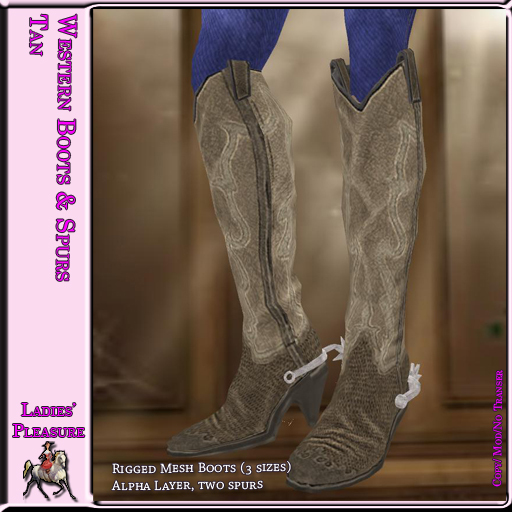 ~LP~Western Boots & Spurs (Boxed) 