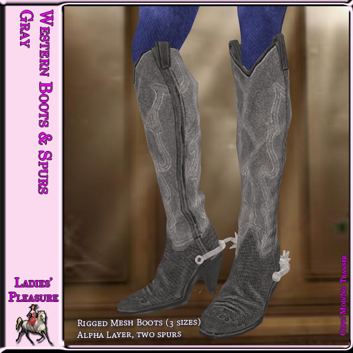 ~LP~Western Boots & Spurs (Boxed) 