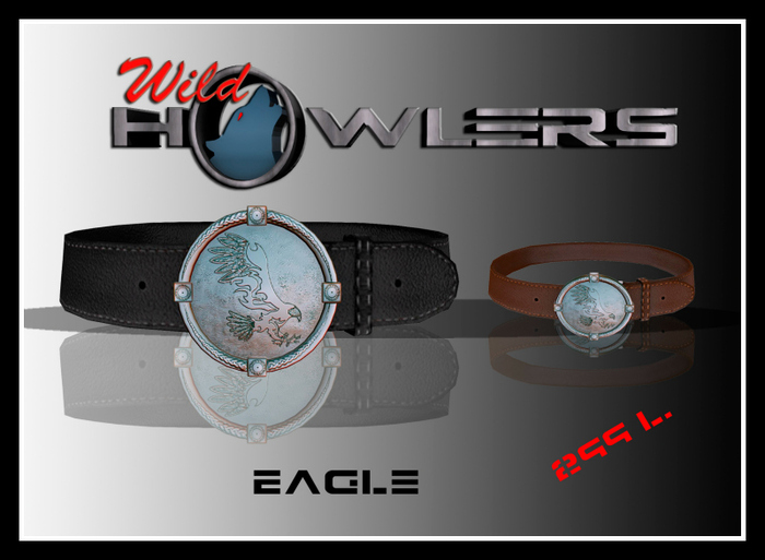 Howlers Belt Eagle Box
