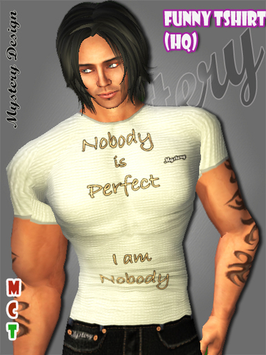 MYSTERY  FUNNY TSHIRT NOBODY IS PERFECT SHIRT SHIRTS