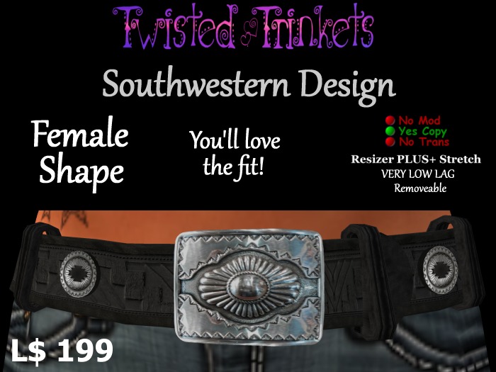 Southwestern Design Belt (female)