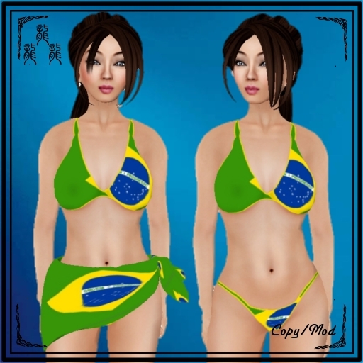 Brazilian Bikini