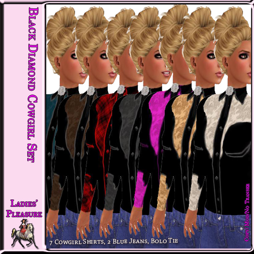 ~LP~Black Diamond Cowgirl Set (BOXED)