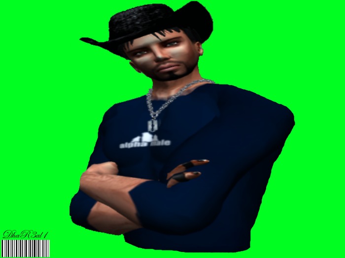 Alpha Male Shirt *Boxed*