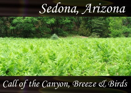 Atmo-AZ-Sedona - Call of the Canyon Breeze & Birds 0:30