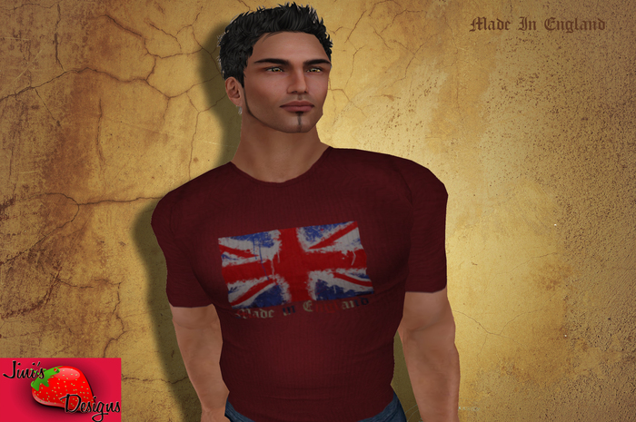 The Who Mens T Shirt